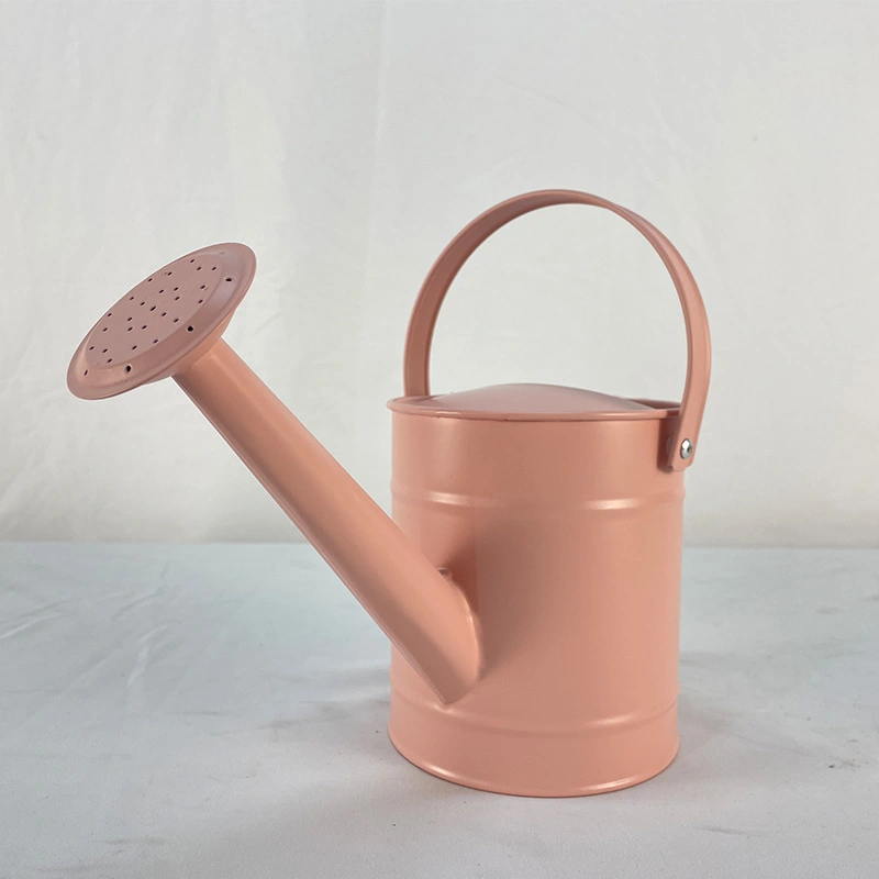 ntg101 kids steel watering can 1.5l